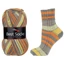 VlnaHep Best socks 6-fach - 7363